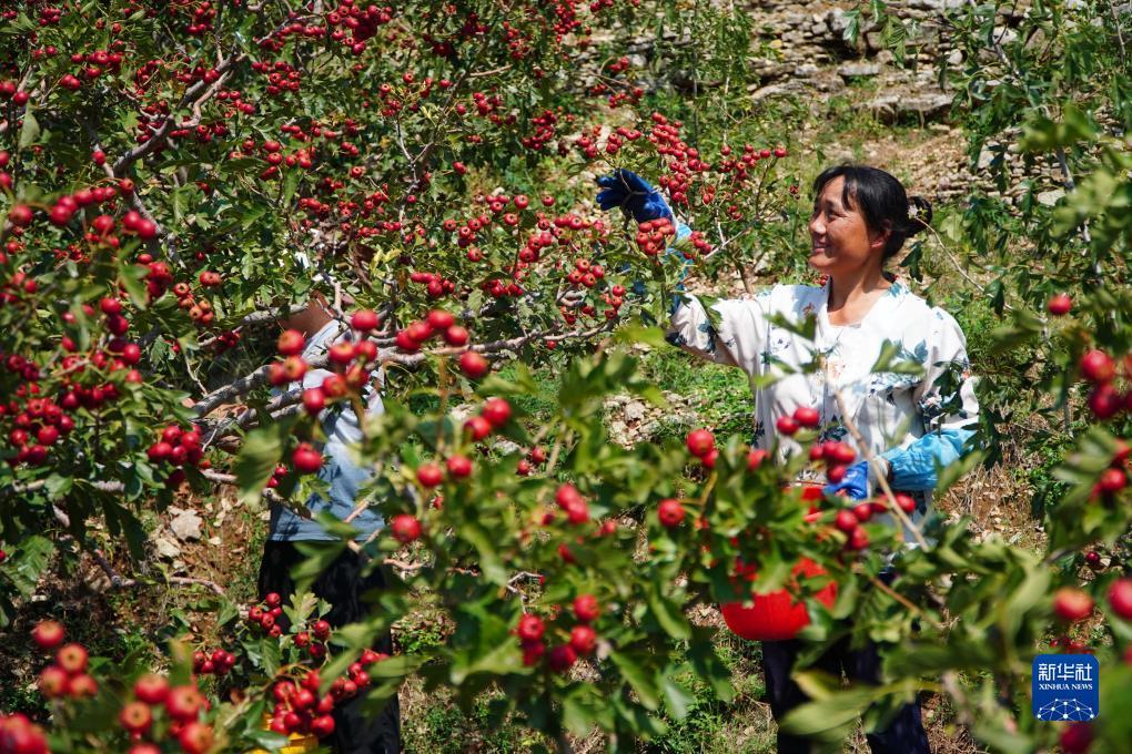 澳门新银河163网站多少